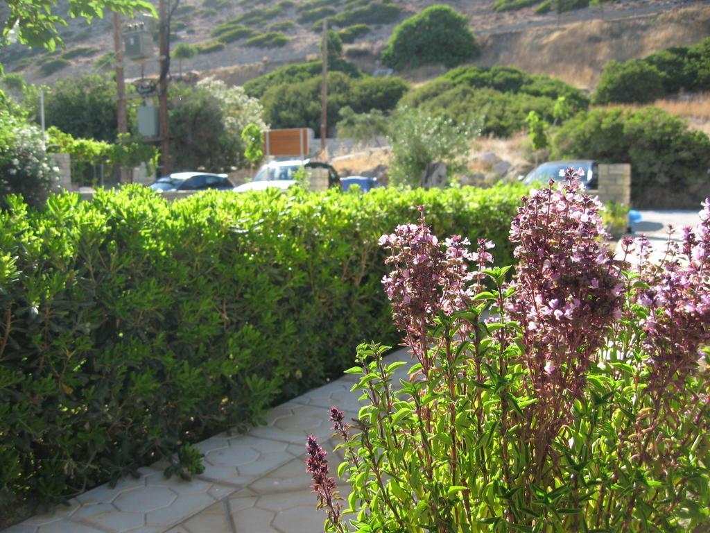 "Villa Kanavos" Apts Matala Zimmer foto